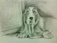 Dog Days